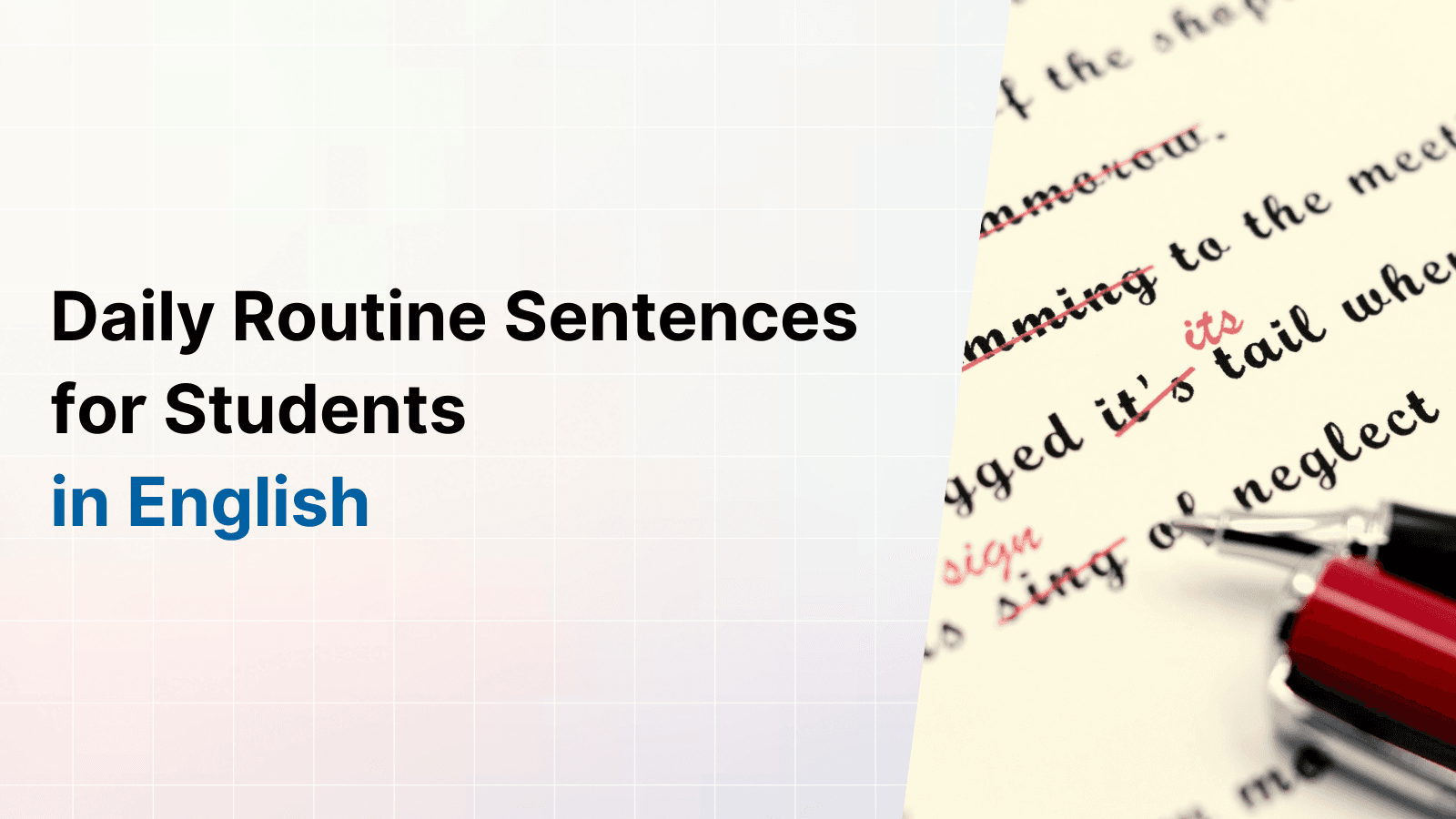 Daily Routine Sentences in English