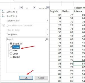 MS Excel Tutorial #2 Sort & Filter in Hindi + Find & Replace Kya Hai