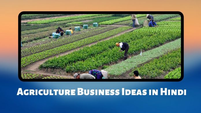 agriculture business plan in hindi