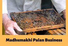 madhumakhi palan ya bee farming business in hindi ki puri jaankari