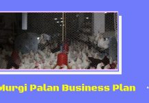 murgi palan, kukut palan kaise kare aur jaane poultry farming business in hindi