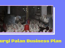 murgi palan, kukut palan kaise kare aur jaane poultry farming business in hindi