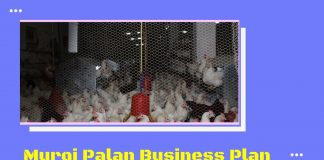murgi palan, kukut palan kaise kare aur jaane poultry farming business in hindi