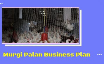 murgi palan, kukut palan kaise kare aur jaane poultry farming business in hindi