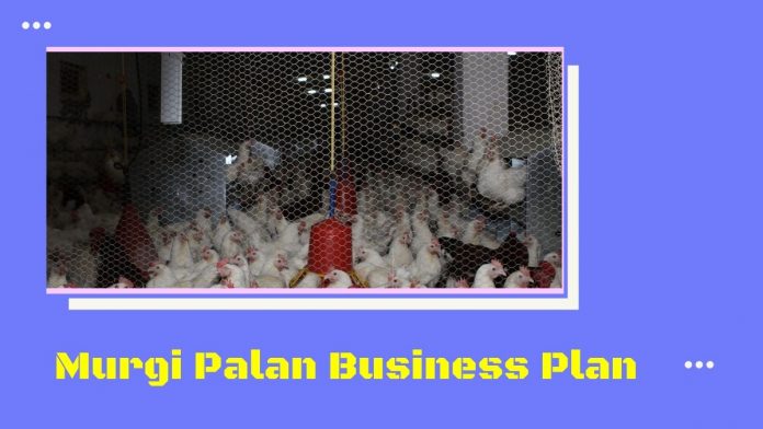 murgi palan, kukut palan kaise kare aur jaane poultry farming business in hindi