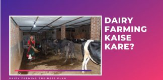 dairy farming in hindi