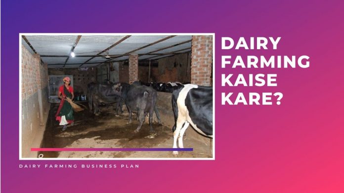 dairy farming business plan in hindi