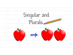 singular plural 