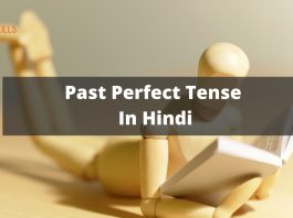 Past Perfect Tense in Hindi