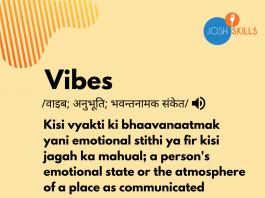 Vibes Meaning in Hindi