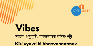 Vibes Meaning in Hindi